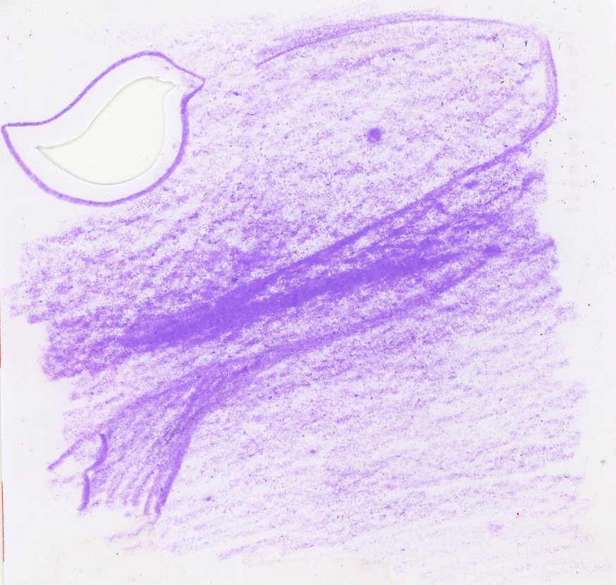 Runde_Purplewhale
